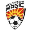 Broadmeadow Magic Reserves
