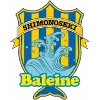 Baleine Shimonoseki