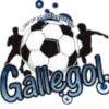 CD Gallegol S.A.S.