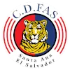 CD FAS (W)