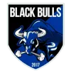 Black Bulls