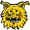 Ilves Tampere (W)