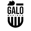 Galo Maringa