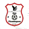 Sua Flamingoes