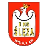Sleza Wroclaw (W)