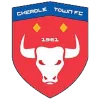 Cheadle Town Stingers (W)