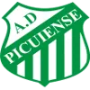 Picuiense