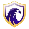 Falcon FC SE Youth