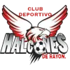 CD Halcones de Rayon