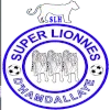 Super Lionnes (W)