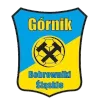 Gornik Bobrowniki Slanskie