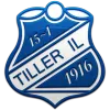 Tiller (W)