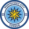 Torque (W)