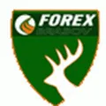 Forex Brasov