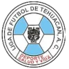 Liga de Futbol de Tehuacan