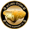Young Elephant FC