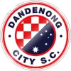 Dandenong City U23
