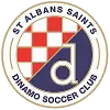St Albans Saints U23