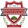 Nekemte Ketema