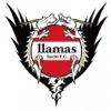 Llamas Kochi FC