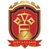 Zibo Daqi