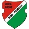 Polonia Sroda Slaska