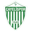 Cayelispor