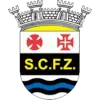 Ferreira Zezere