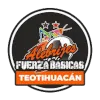 Alebrijes Teotihuacan