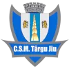 CSM Targu Jiu