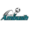 St. Louis Ambush
