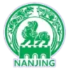Nanjing Team