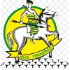 ASFA-Yennega