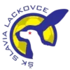 SK Slavia Lackovce