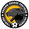 Ashdod Panthers (W)