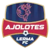Ajolotes Lerma FC