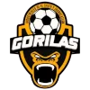 Gorilas de Juanacatlan II