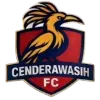 Cendrawasih FC