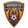Mesuji FC