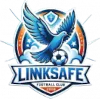 Jinan Linksafe