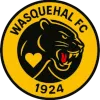 ES Wasquehal