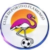 Flamengo Cucuta U19