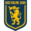 Figline